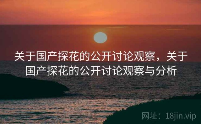 关于国产探花的公开讨论观察，关于国产探花的公开讨论观察与分析