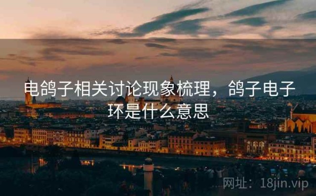 电鸽子相关讨论现象梳理，鸽子电子环是什么意思