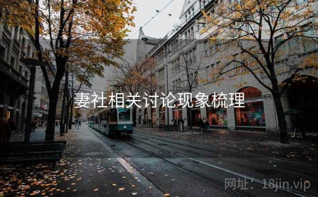 妻社相关讨论现象梳理