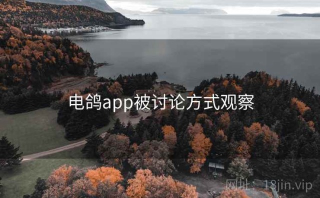 电鸽app被讨论方式观察