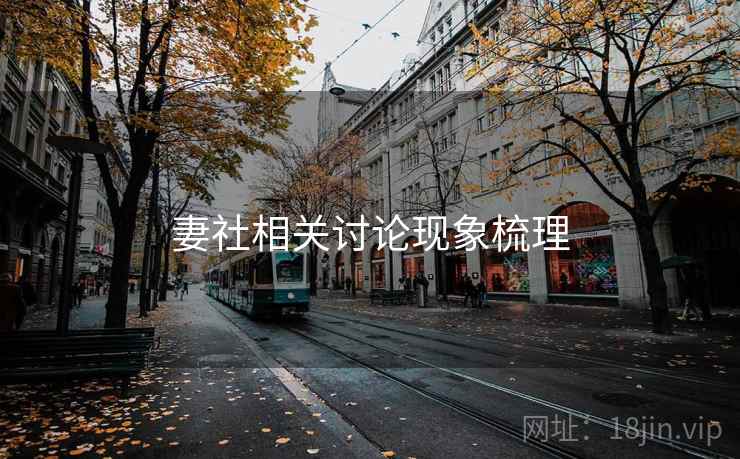 妻社相关讨论现象梳理