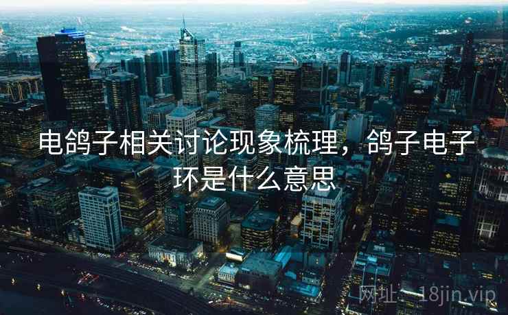 电鸽子相关讨论现象梳理，鸽子电子环是什么意思